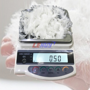 Cân điện tử cân lông vũ GS6000