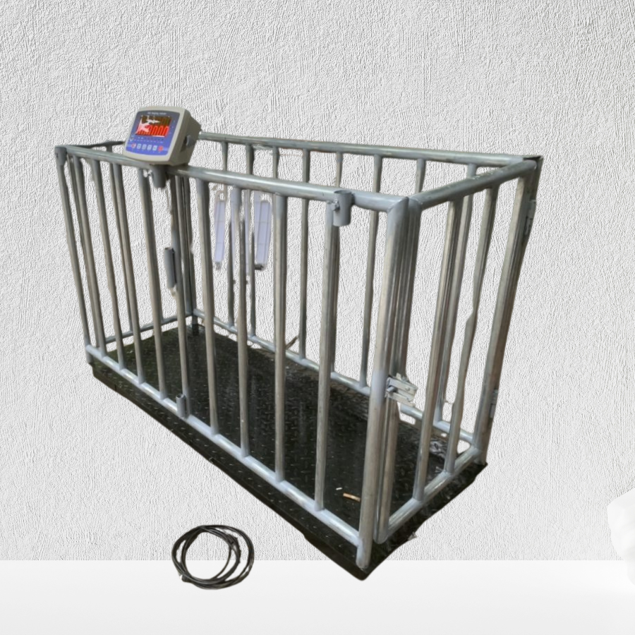 Cân lợn khung inox201 loại 2 con 0,6x1,5m của 1 thao tác